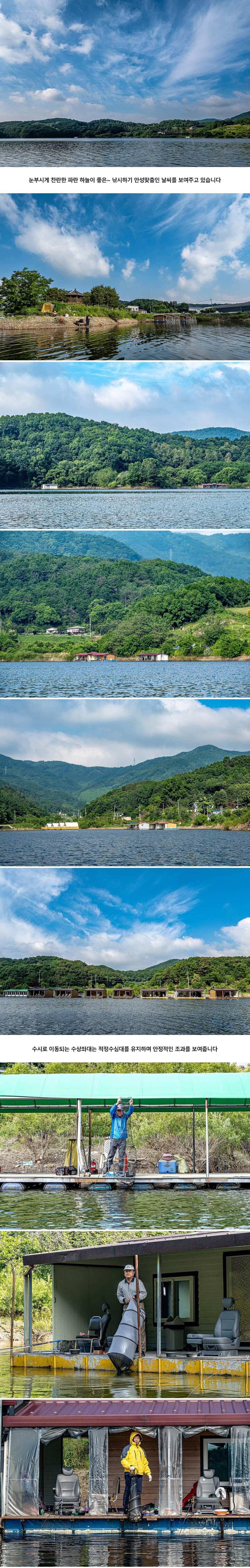안성 두메낚시터 5월 27일 조황정보 (유료터정보 - 유료터점주조황)