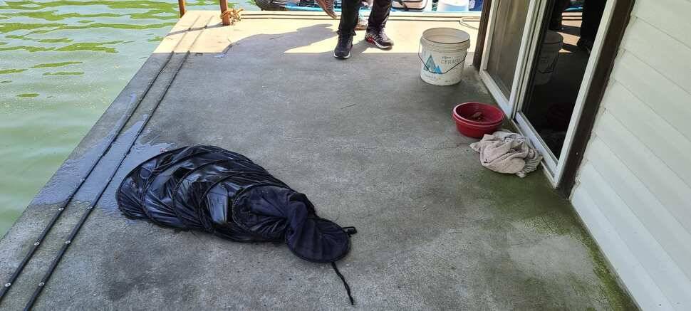 공주 고성낚시터 입니다 (유료터정보 - 유료터점주조황)