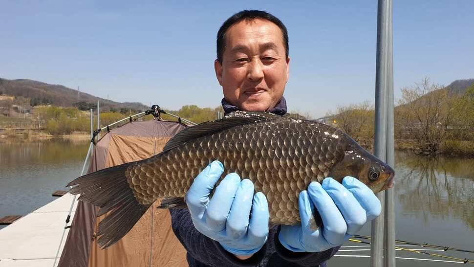 아산 명품 월랑낚시터 4월 첫번째 조황이야기입니다 (유료터정보 - 유료터점주조황)