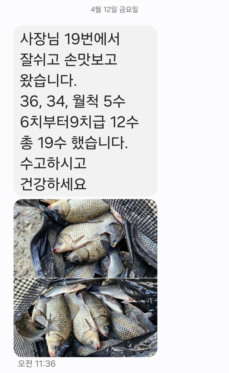 2024년 04월 셋째주 조황정보 용담낚시터사암지 4짜 5마리 (유료터정보 - 유료터점주조황)