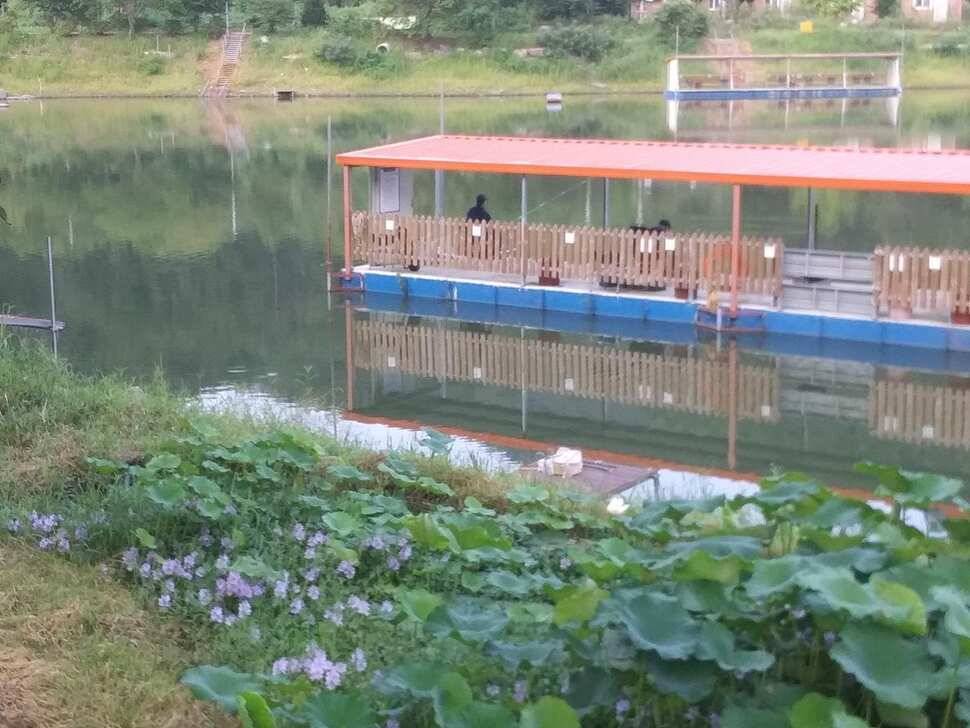 양평 수곡낚시터 주중 붕어조황 오늘도 고르고 꾸준한 조황이 이어지네요 오늘 붕어방류 마쳤습니다 (유료터정보 - 유료터점주조황)
