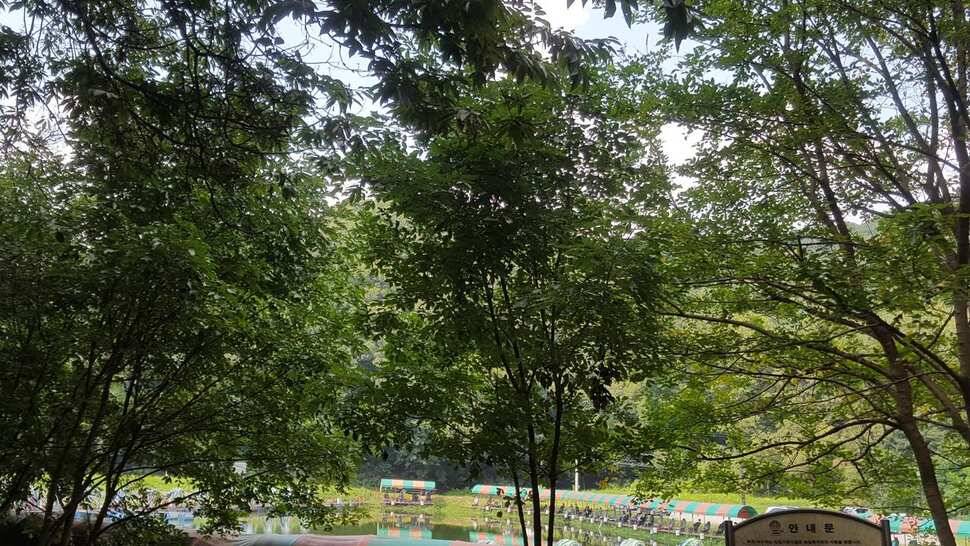 쿨토시 (유료터정보 - 유료터점주조황)
