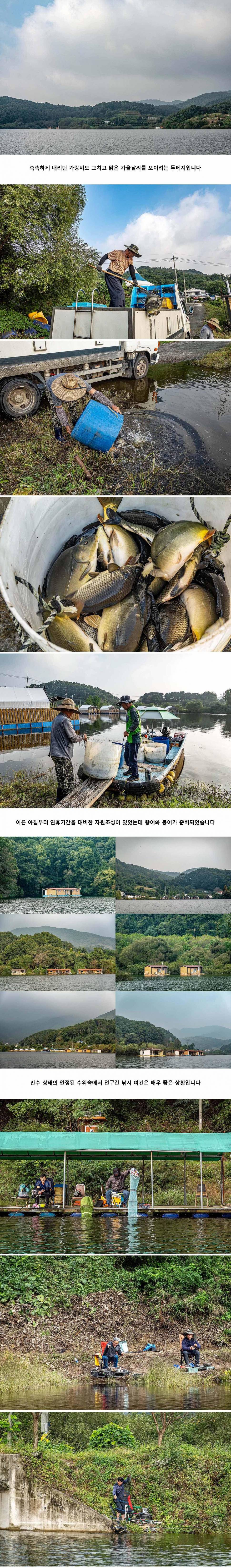 안성 두메낚시터 9월 28일 조황정보 (유료터정보 - 유료터점주조황)