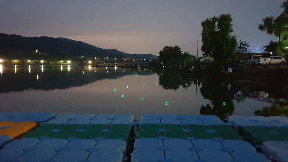 아산 명품 월랑낚시터 6월 첫번째 조황이야기입니다 (유료터정보 - 유료터점주조황)