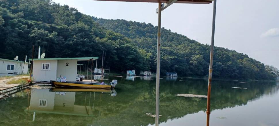 어우실지 비가오니까 수온이많이내려가네요 주말부터는 입질이좋을듯합니다 (유료터정보 - 유료터점주조황)