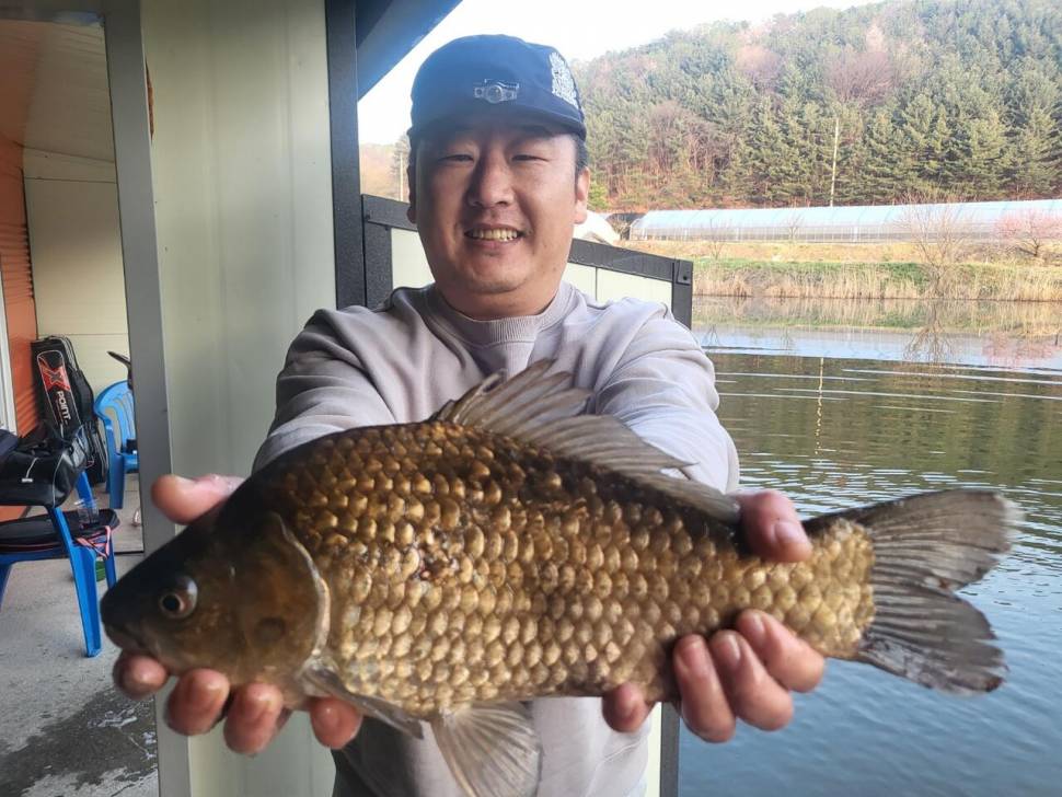 긴급 한자리 4짜 4마리 출몰 (유료터정보 - 유료터점주조황)
