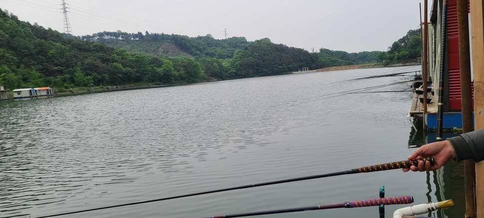 양평낚시터 수곡낚시터 주중조황 고른편이나 편차는 있네요 (유료터정보 - 유료터점주조황)