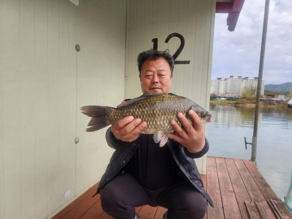 송전지 창신좌대 조황정보 대박 마리수 조황 (유료터정보 - 유료터점주조황)