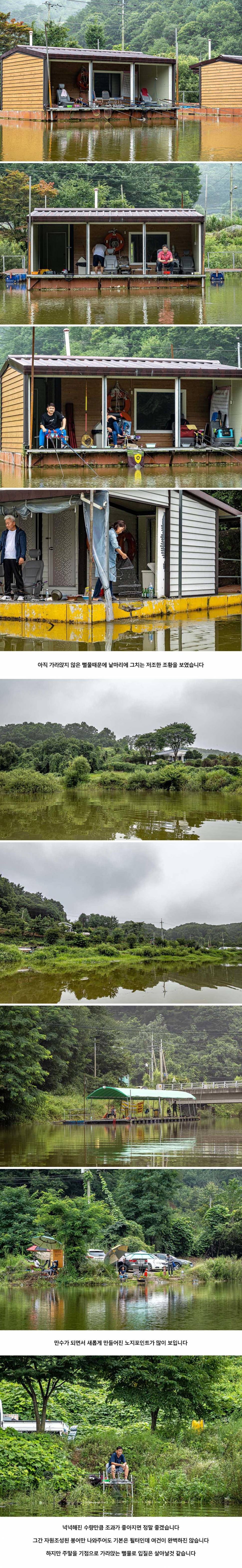안성 두메낚시터 7월 31일 조황정보 (유료터정보 - 유료터점주조황)