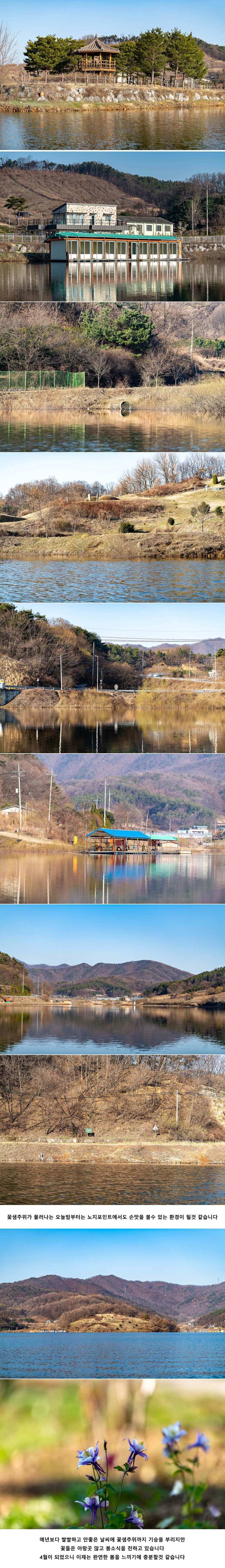 안성 두메낚시터 4월 2일 조황정보 (유료터정보 - 유료터점주조황)