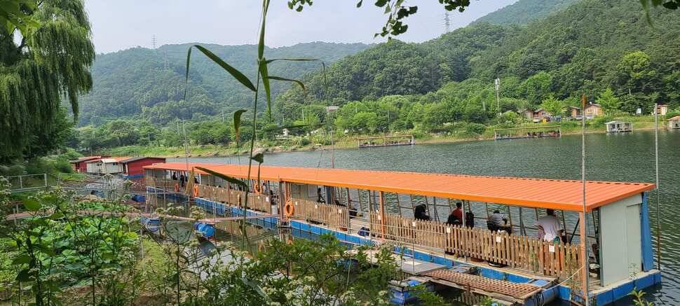 피서 여름낚시 힐링 수곡낚시터 금요일토요일 조황소식 입니다 (유료터정보 - 유료터점주조황)