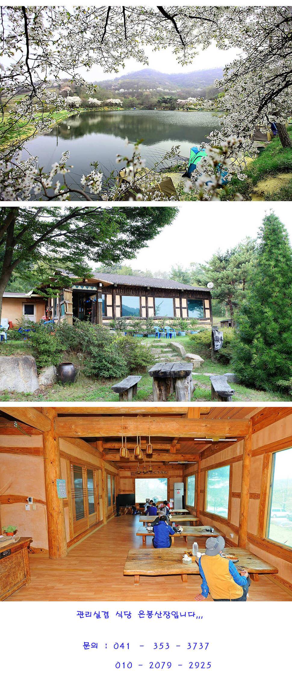숲으로의 힐링 낚시 (유료터정보 - 유료터점주조황)