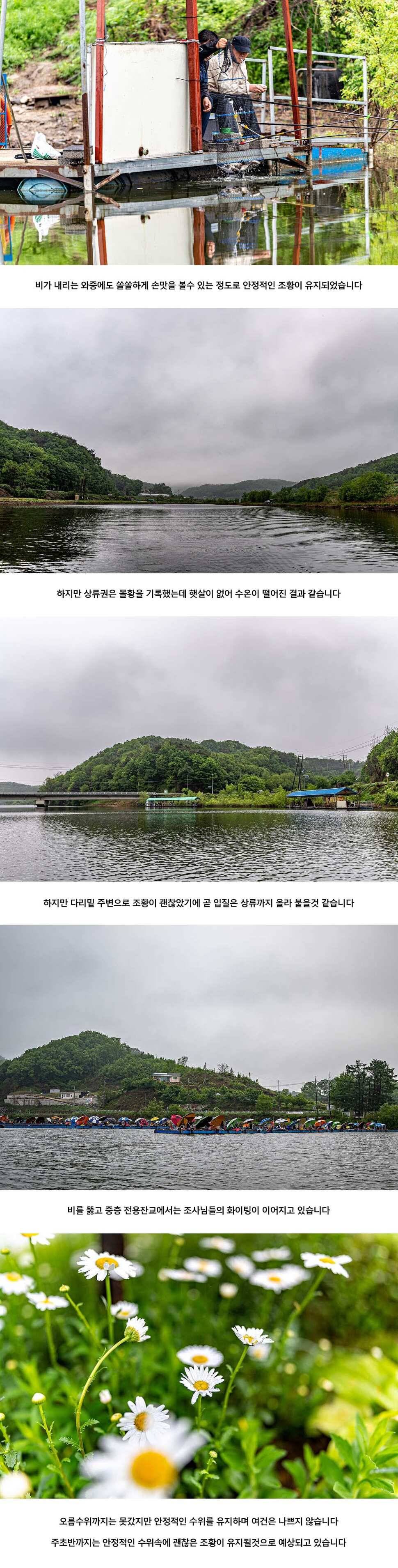 안성 두메낚시터 5월 10일 조황정보 (유료터정보 - 유료터점주조황)
