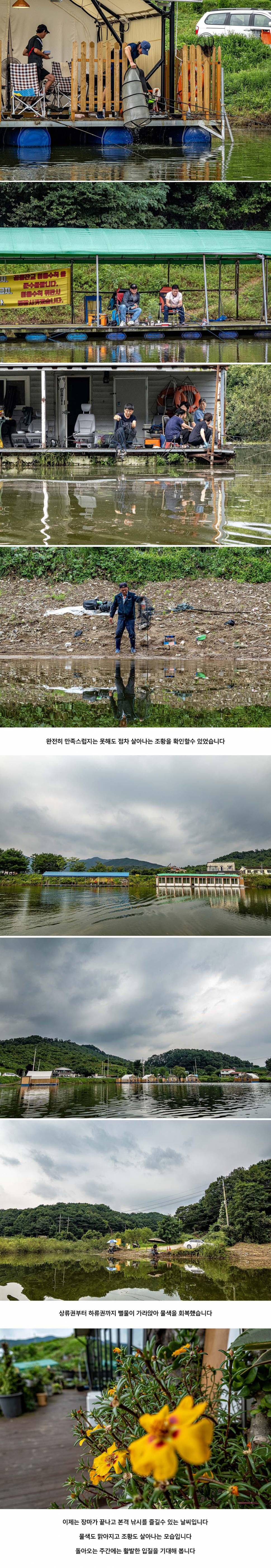 안성 두메낚시터 8월 15일 조황정보 (유료터정보 - 유료터점주조황)
