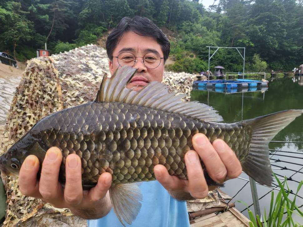 붕어 방류소식과 조황정보 전해드립니다 (유료터정보 - 유료터점주조황)