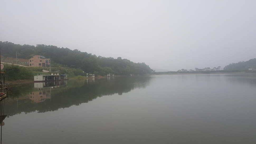 당진 가교리낚시터 6월 둘째주 조황 (유료터정보 - 유료터점주조황)