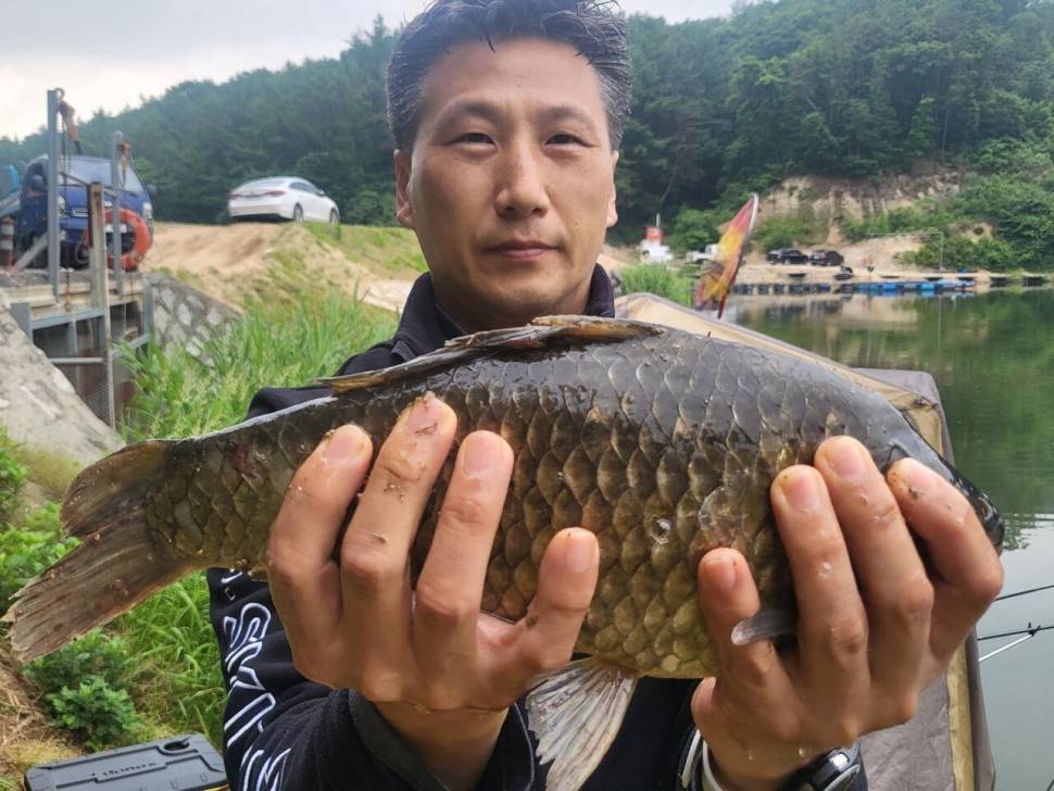 붕어 방류소식과 조황정보 전해드립니다 (유료터정보 - 유료터점주조황)