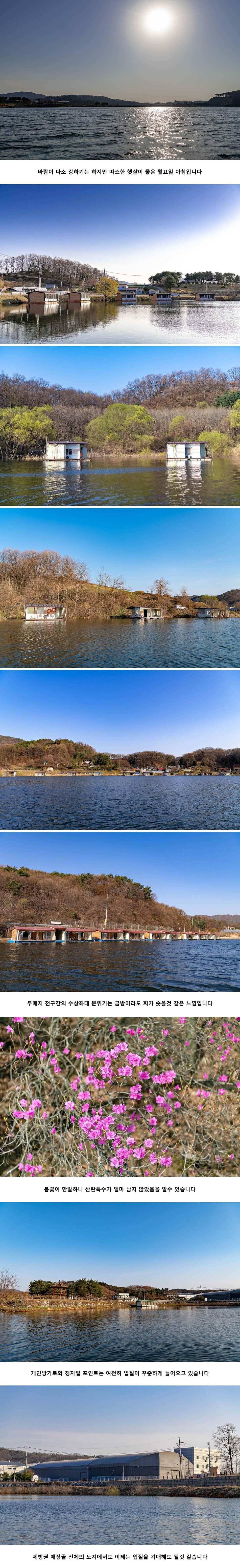 안성 두메낚시터 4월 8일 조황정보 (유료터정보 - 유료터점주조황)