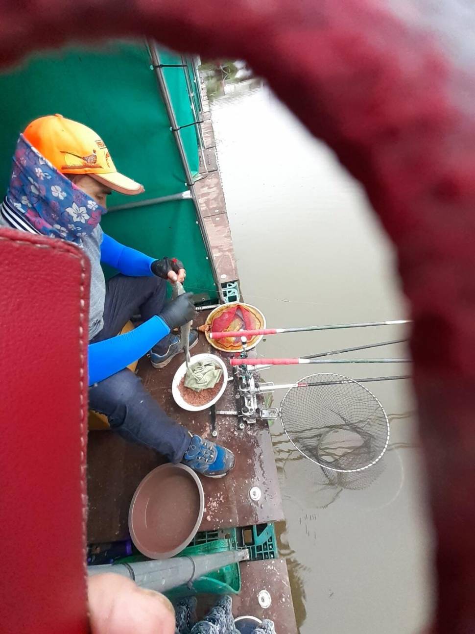 경주 동산낚시터붕어 전용 잡이터 지난주 조황 (유료터정보 - 유료터점주조황)