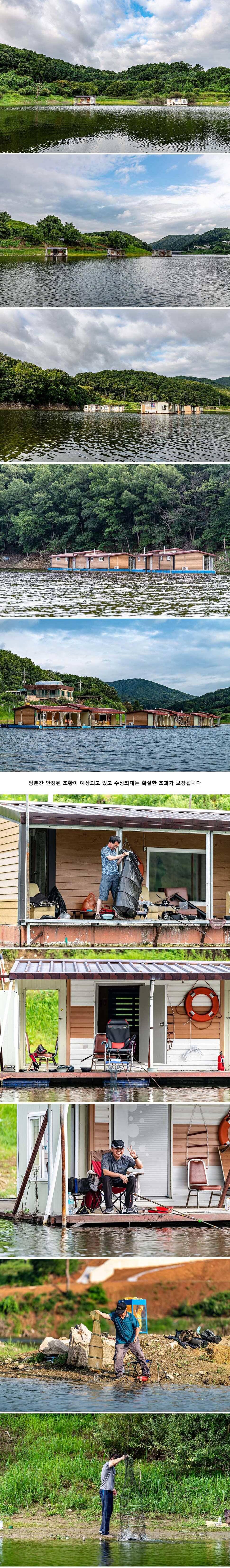 안성 두메낚시터 7월 30일 조황정보 (유료터정보 - 유료터점주조황)