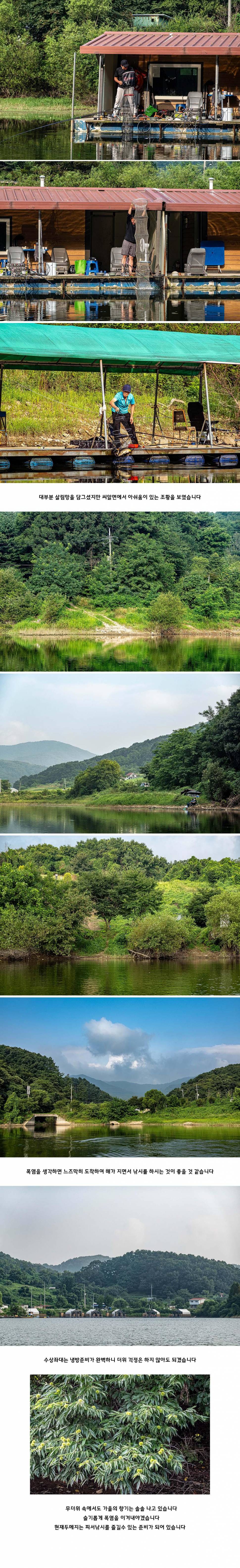 안성 두메낚시터 8월 3일 조황정보 (유료터정보 - 유료터점주조황)