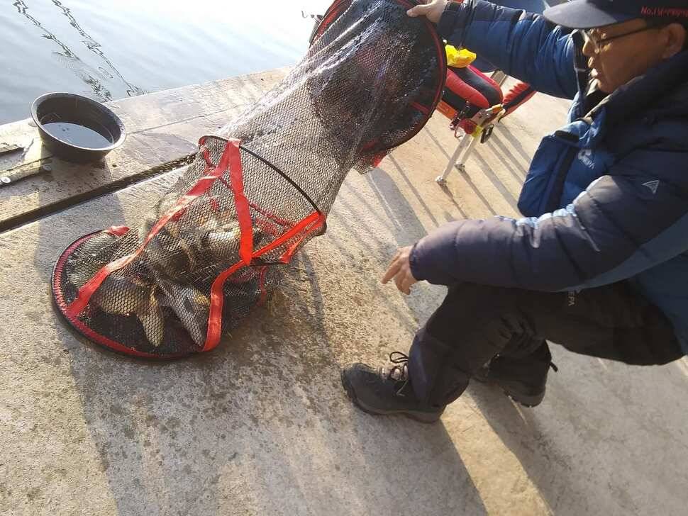 양평 힐링 수곡낚시터 바닥 토종대물 4짜 포함 붕어 마릿수도 꾸준히 늘어납니다 (유료터정보 - 유료터점주조황)