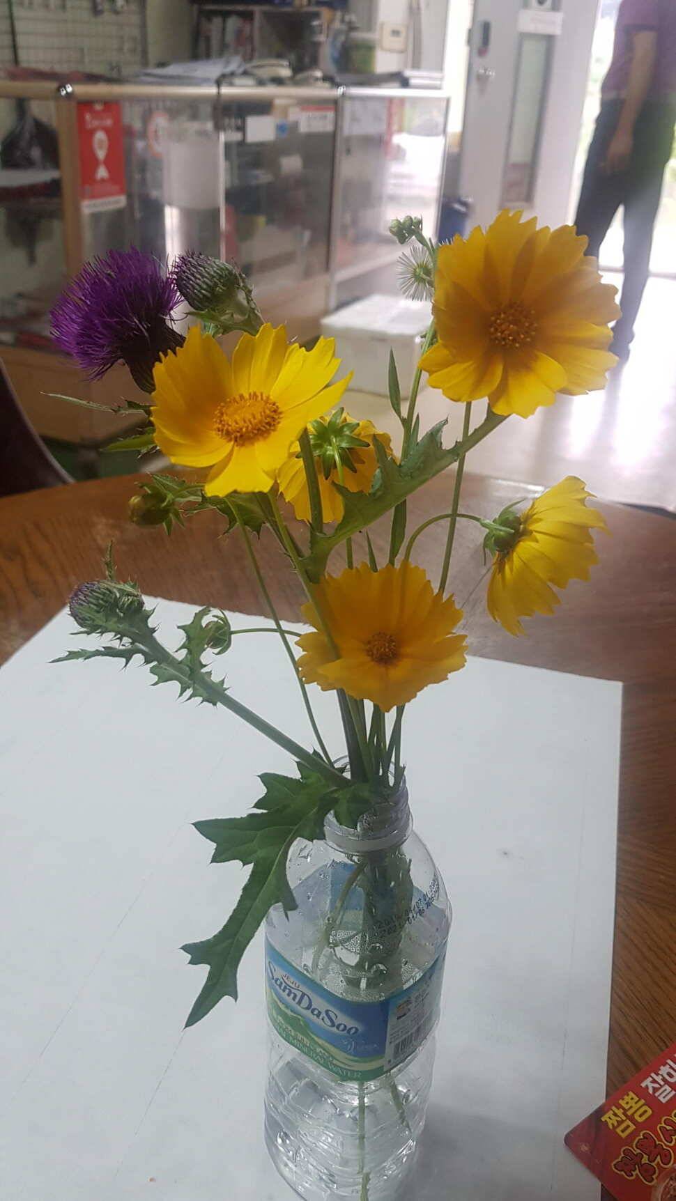당진 가교리낚시터 6월 둘째주 조황 (유료터정보 - 유료터점주조황)