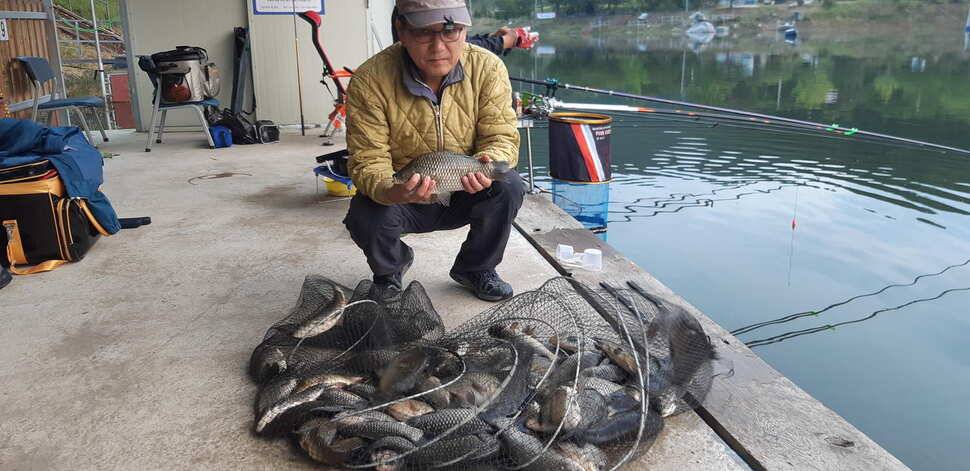 양평 수곡낚시터 9월28 오늘도 고르게 좋은 조황이 이어지고 있네요 오늘 붕어방류 완료하였습니다 (유료터정보 - 유료터점주조황)