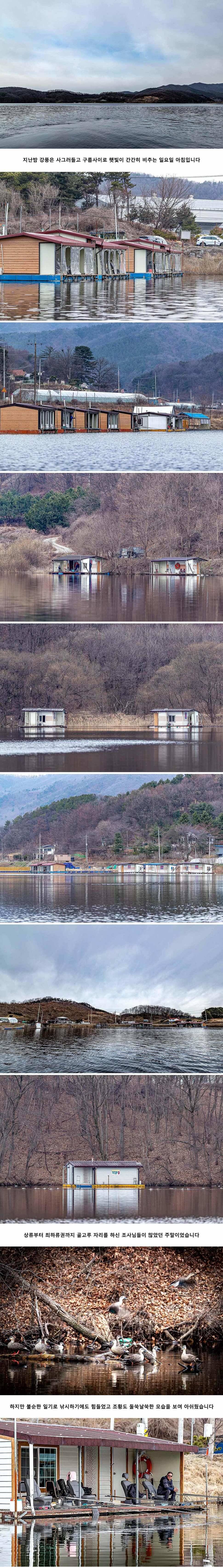 안성 두메낚시터 3월 15일 조황정보 (유료터정보 - 유료터점주조황)