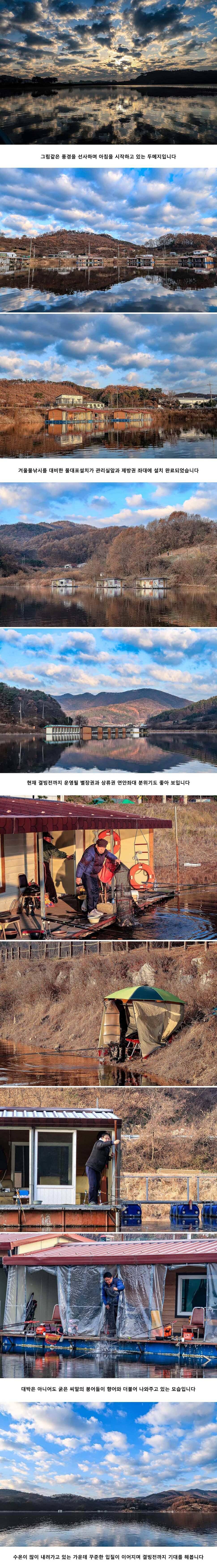 안성 두메낚시터 11월 28일 조황정보 (유료터정보 - 유료터점주조황)