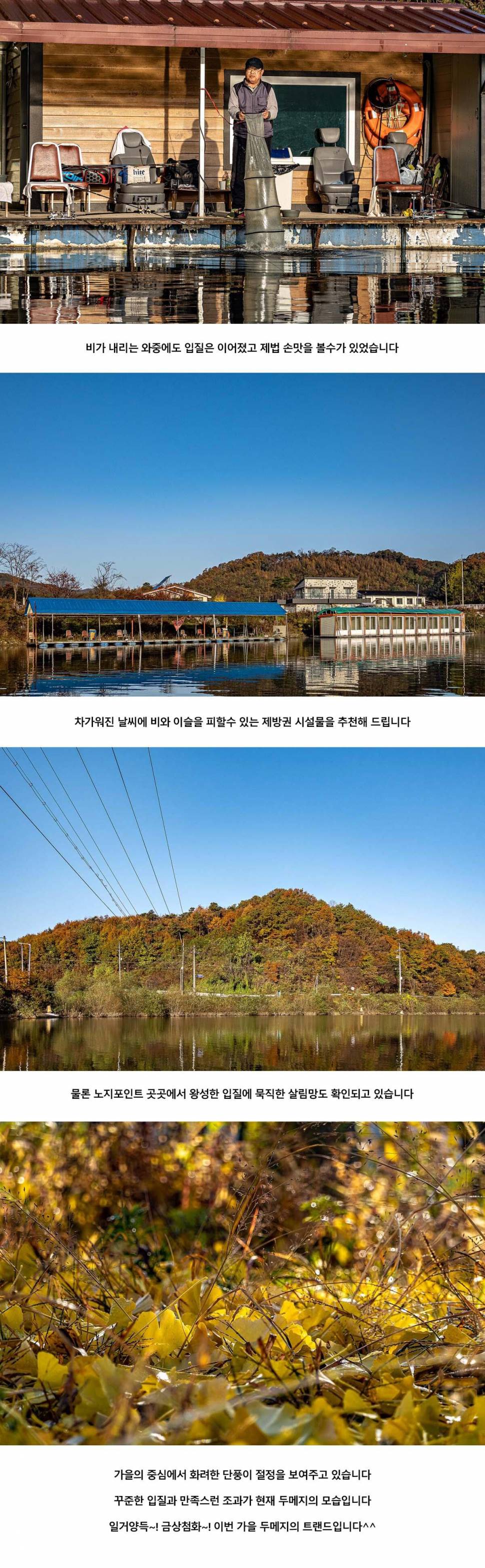 안성 두메낚시터 11월 2일 조황정보 (유료터정보 - 유료터점주조황)
