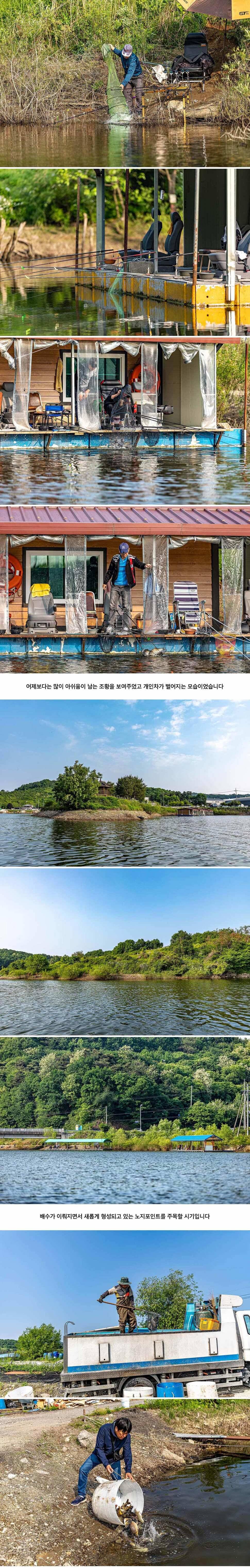 안성 두메낚시터 5월 23일 조황정보 (유료터정보 - 유료터점주조황)