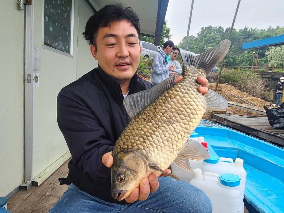 대물붕어 집합장소 (유료터정보 - 유료터점주조황)