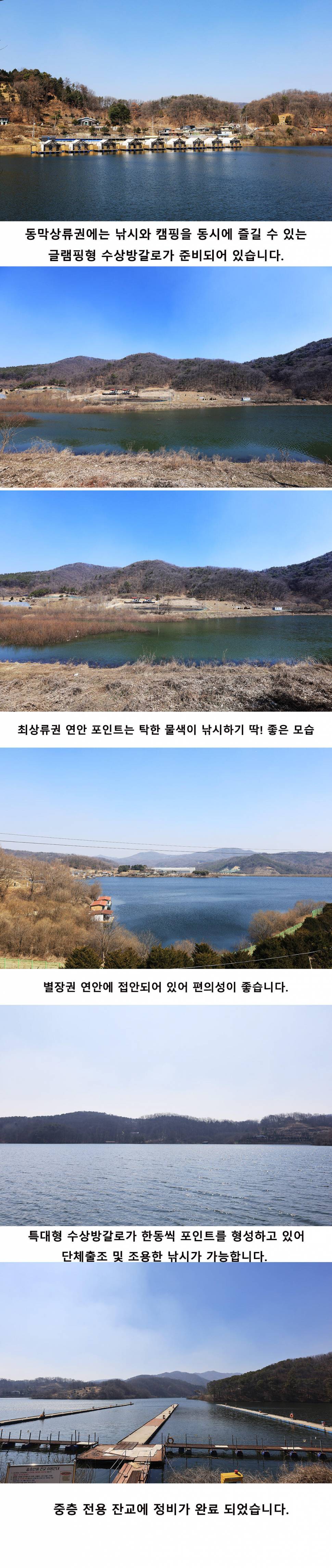 안성 두메낚시터 3월14일 조황안내 (유료터정보 - 유료터점주조황)