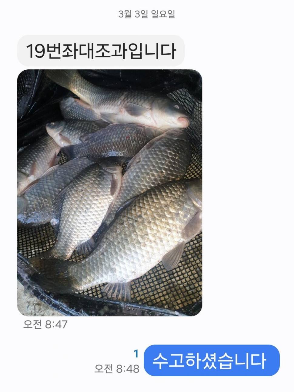 2024년 03월 첫째주 조황정보 붕어방류 (유료터정보 - 유료터점주조황)