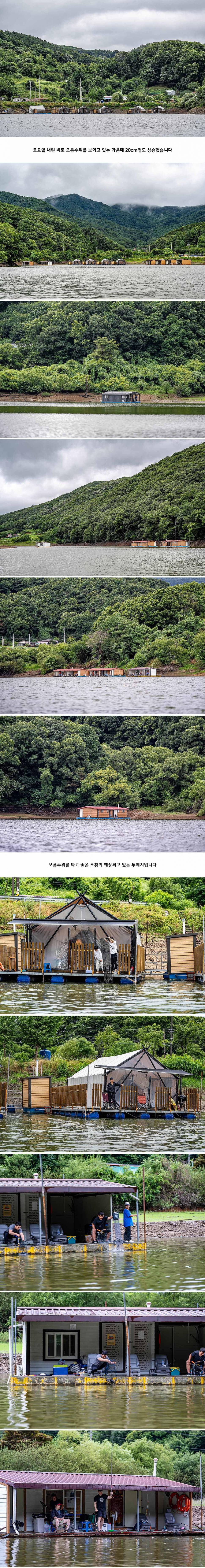 안성 두메낚시터 6월 30일 조황정보 (유료터정보 - 유료터점주조황)