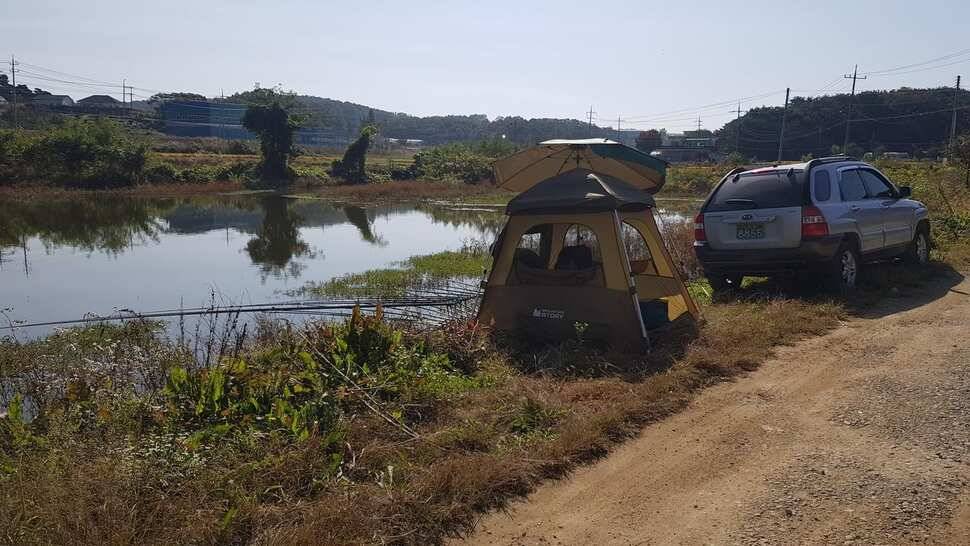 당진 가교리 낚시터 10월 22일 조황입니다 (유료터정보 - 유료터점주조황)