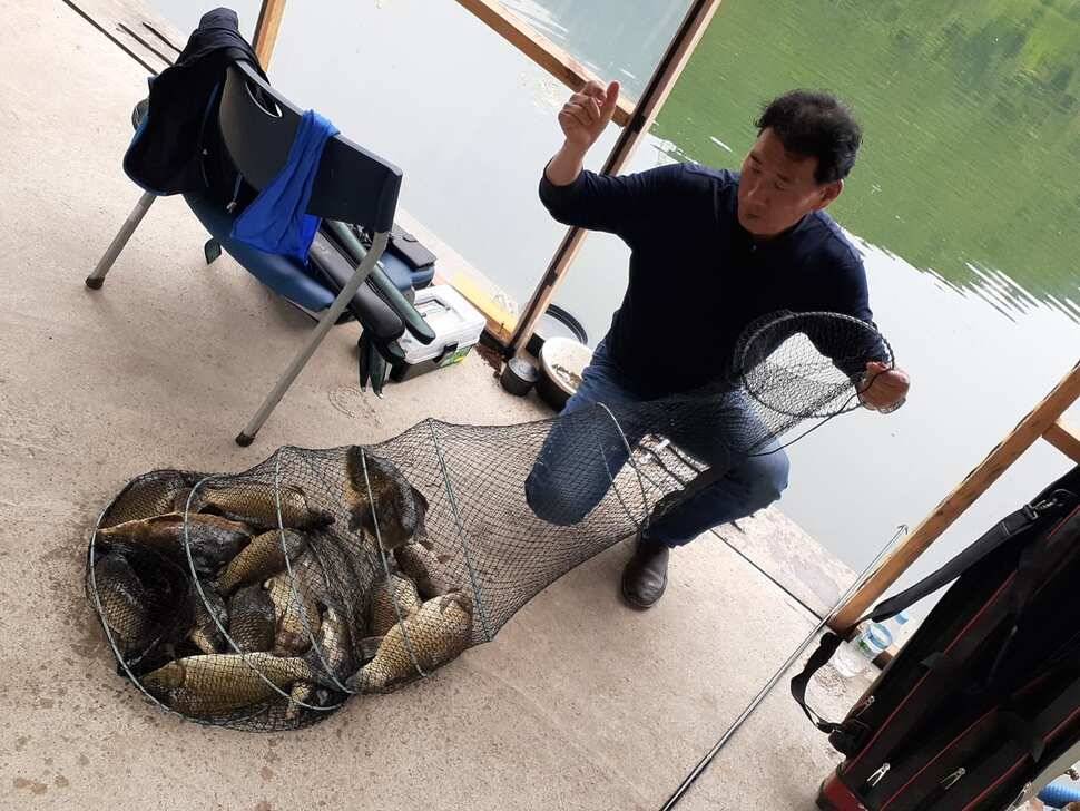양평낚시터 힐링 수곡낚시터 수목요일 주중 조황도 고르게 나와주고 있습니다 (유료터정보 - 유료터점주조황)