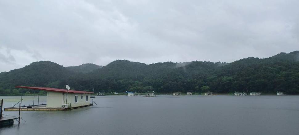 어우실지 입질이좋아요 (유료터정보 - 유료터점주조황)
