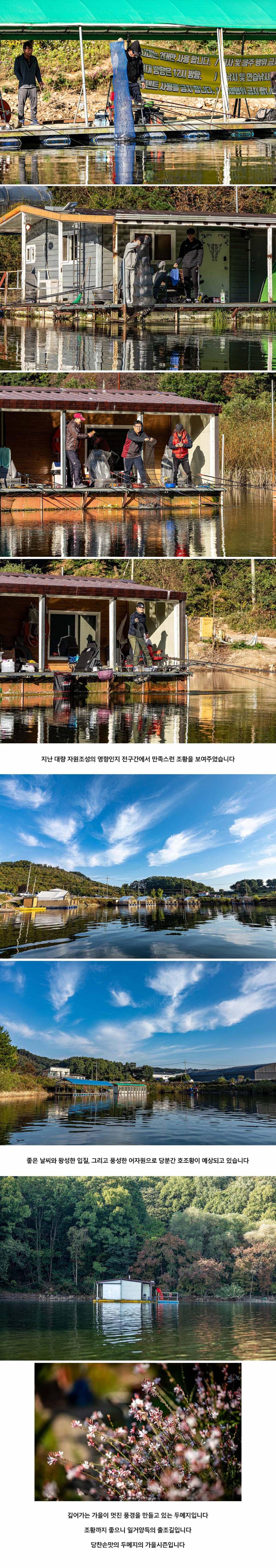 안성 두메낚시터 10월 11일 조황정보 (유료터정보 - 유료터점주조황)