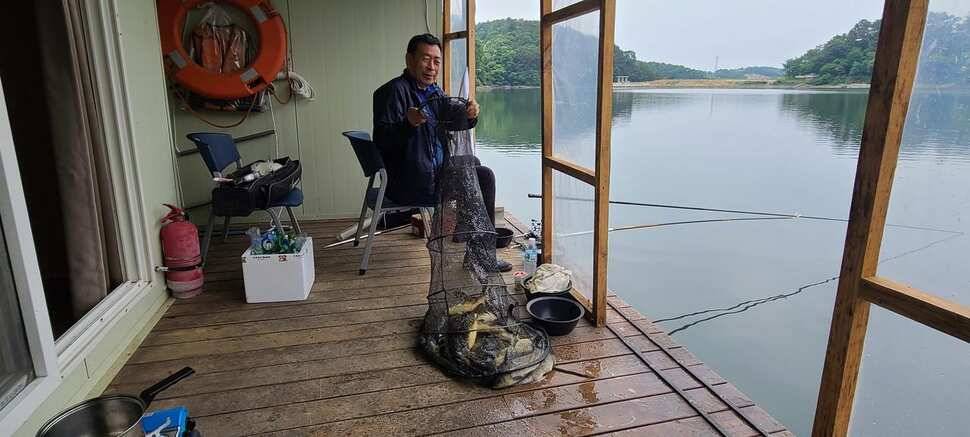 양평낚시터 힐링 수곡낚시터 어제 월요일 조황도 편차는 있지만 꾸준합니다 (유료터정보 - 유료터점주조황)