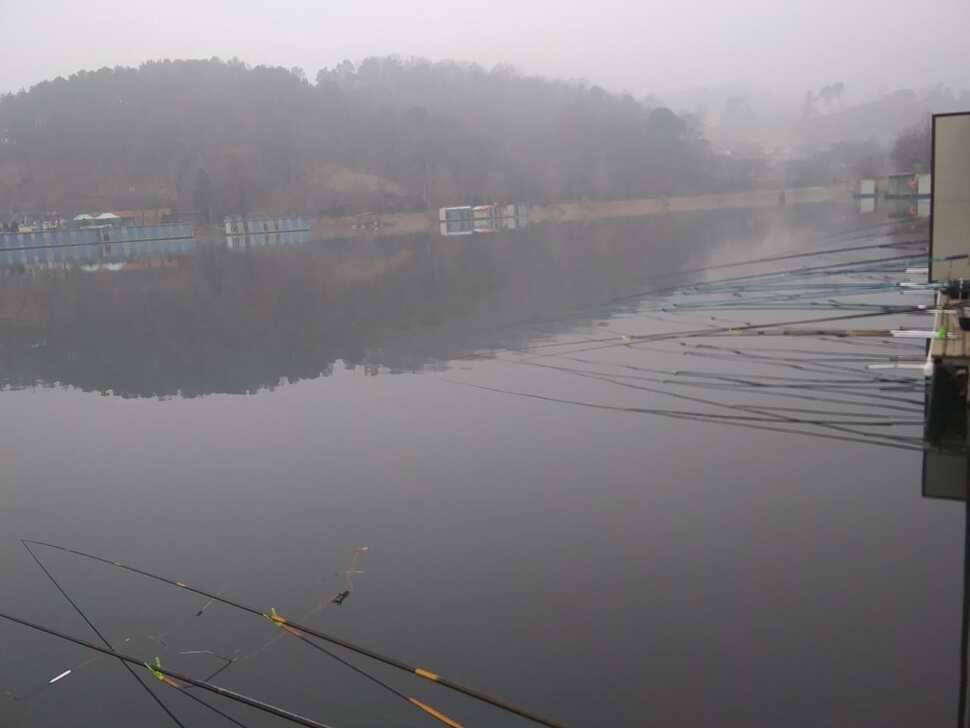 양평 수곡낚시터 2월 첫주말 조황안내및 붕어방류 (유료터정보 - 유료터점주조황)