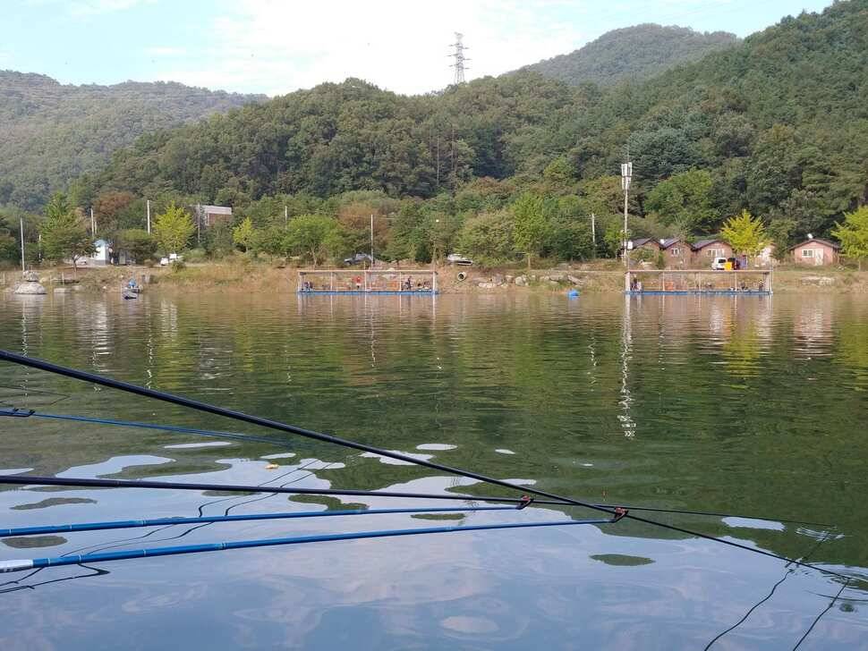 붕어낚시 양평 수곡낚시터 일요일 조황도 토요일과 비슷한 조황이었습니다 (유료터정보 - 유료터점주조황)