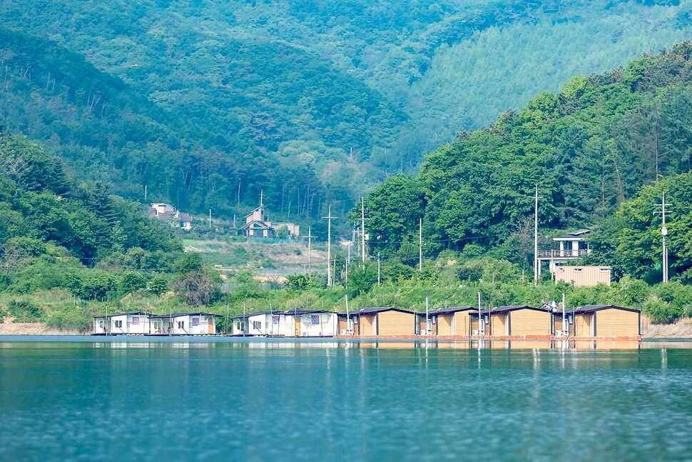 안성 두메낚시터 5월 14일 조황정보 (유료터정보 - 유료터점주조황)