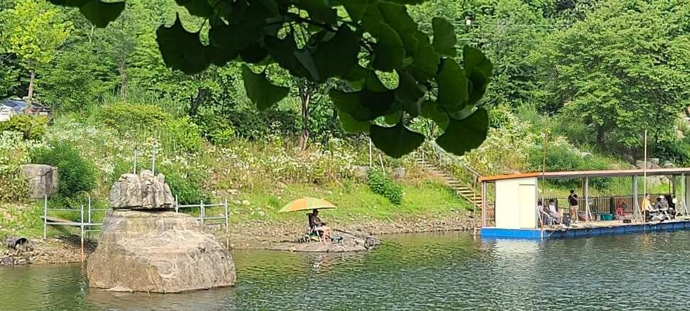 피서 여름낚시 힐링 수곡낚시터 금요일토요일 조황소식 입니다 (유료터정보 - 유료터점주조황)