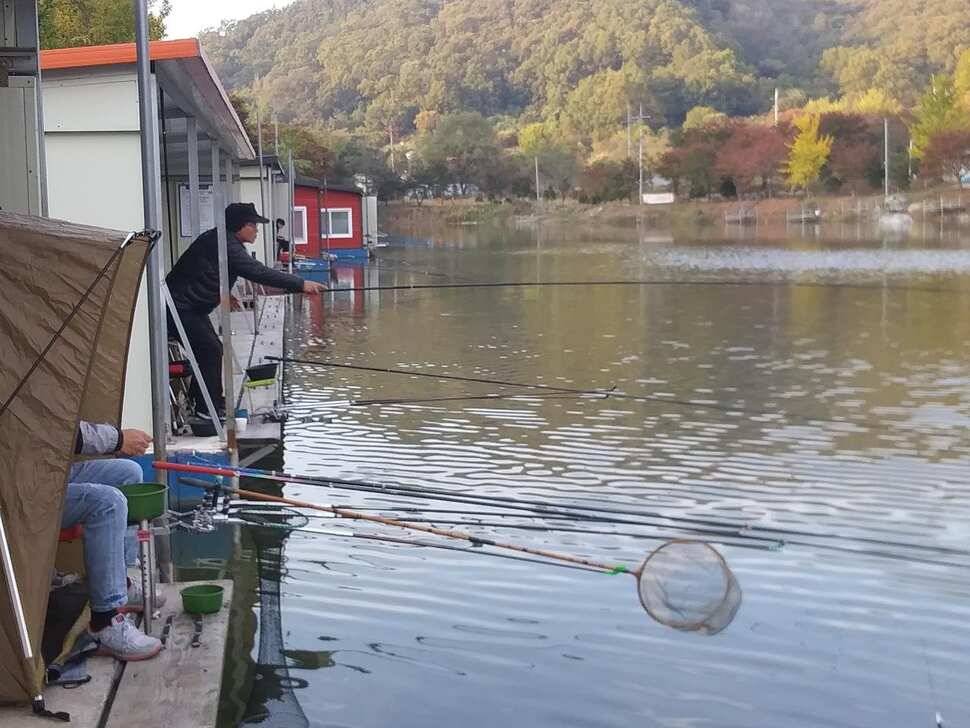 수곡낚시터 4짜 대물붕어가 또 나왔습니다 주말 조황 붕어방류 소식전합니다 (유료터정보 - 유료터점주조황)