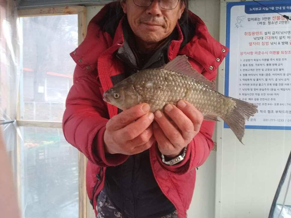 수곡낚시터 고른 조황이지만 마릿수가 아쉽네요 오늘도 토종 붕어 방류 (유료터정보 - 유료터점주조황)
