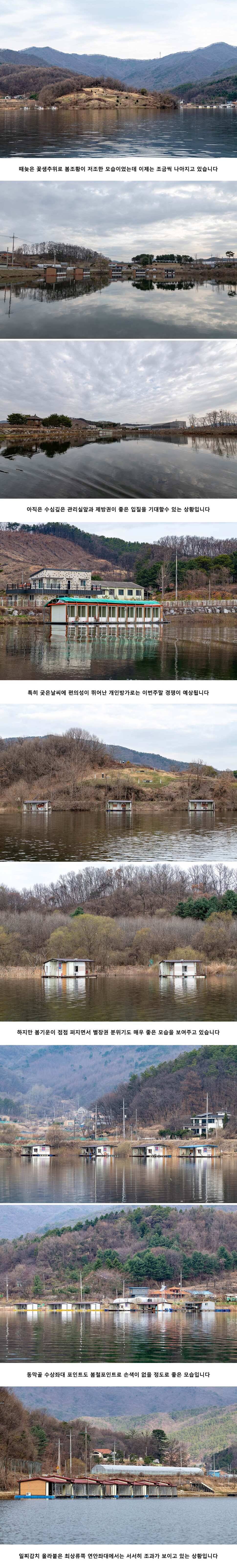 안성 두메낚시터 3월 29일 조황정보 (유료터정보 - 유료터점주조황)
