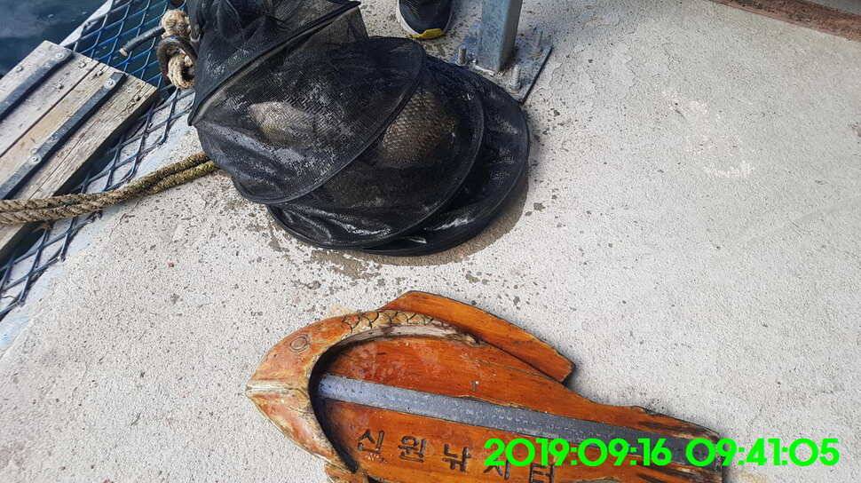 신원낚시터 토종대물 덩어리와 4짜가 마릿수로 (유료터정보 - 유료터점주조황)