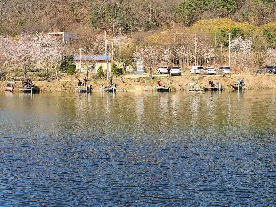 양평 수곡낚시터 4월 첫주 주말조황 및 수상좌대 할인요금 붕어방류 안내 (유료터정보 - 유료터점주조황)